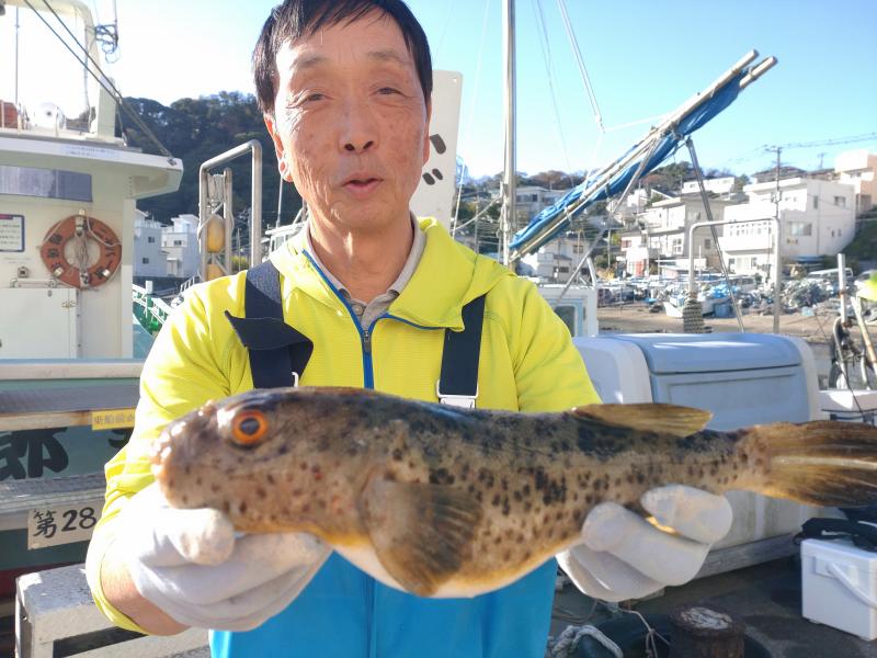 ふぐ釣り3枚目