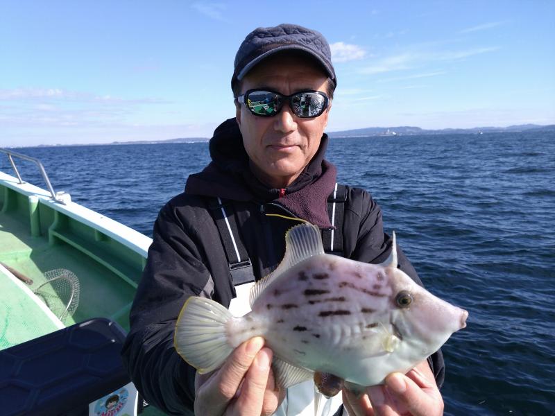 カワハギ釣り3枚目