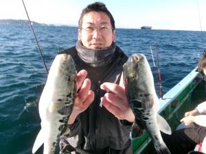 トラフグ釣り
