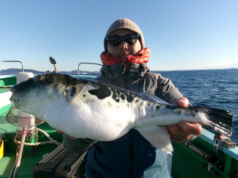 トラフグ釣り1枚目
