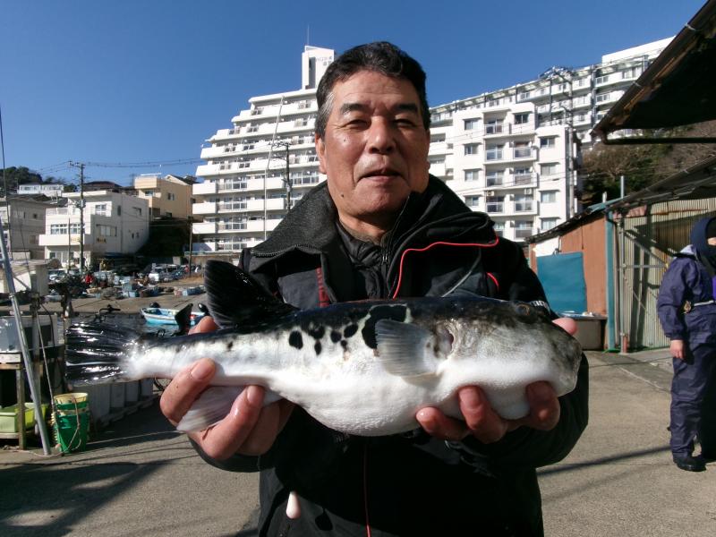 トラフグ釣り2枚目