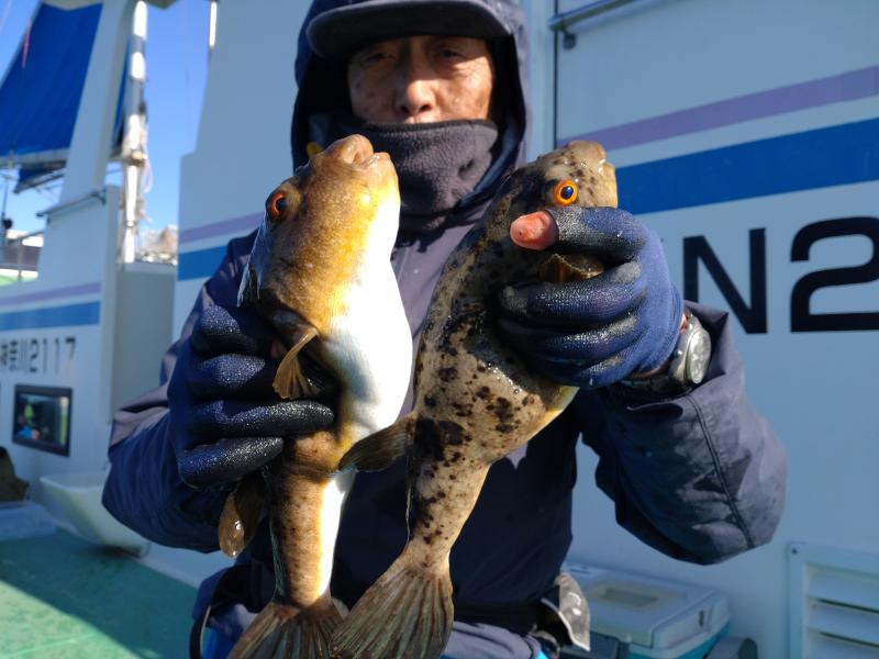 ふぐ釣り好調です！！2枚目
