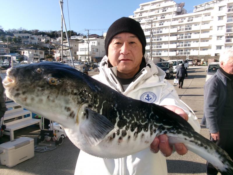 トラフグ好調です！！1枚目