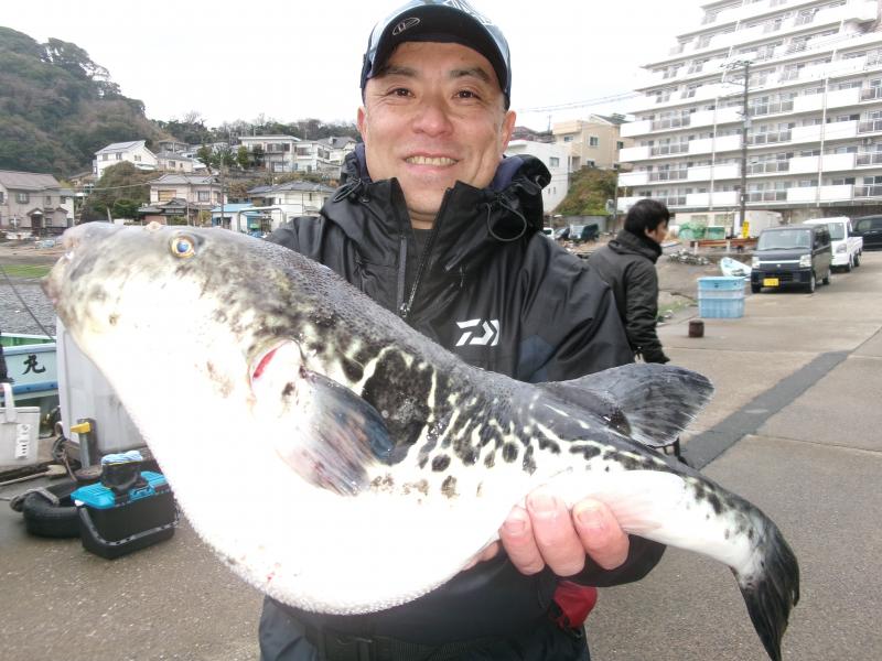 トラフグ釣り1枚目