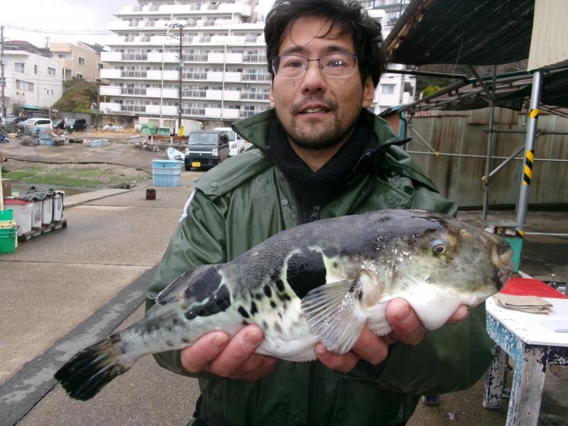 トラフグ釣り2枚目