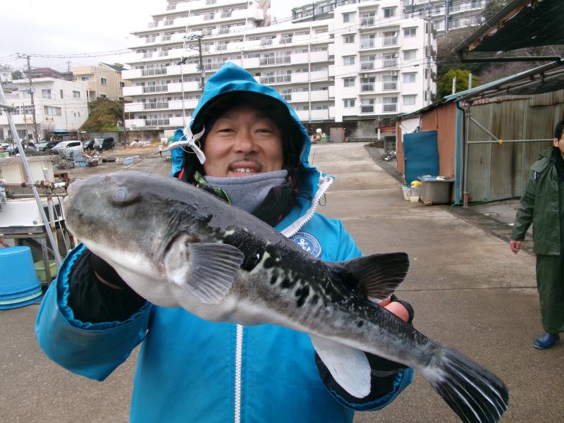 トラフグ釣り3枚目