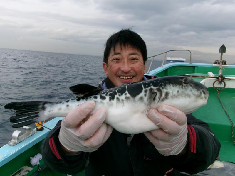 トラフグ釣り1枚目