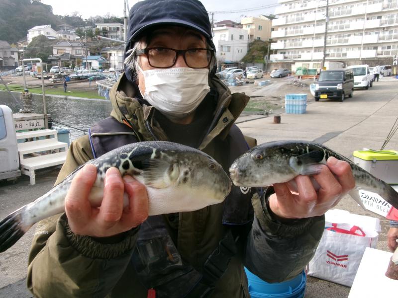 トラフグ釣り2枚目