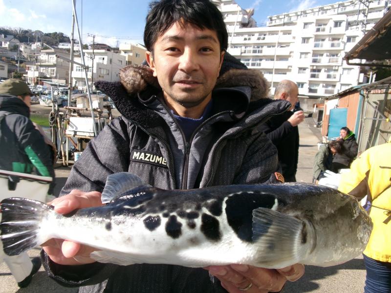 トラフグ釣り1枚目
