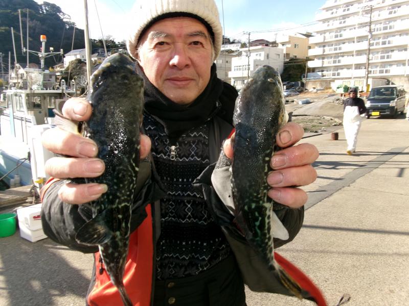 トラフグ釣り2枚目