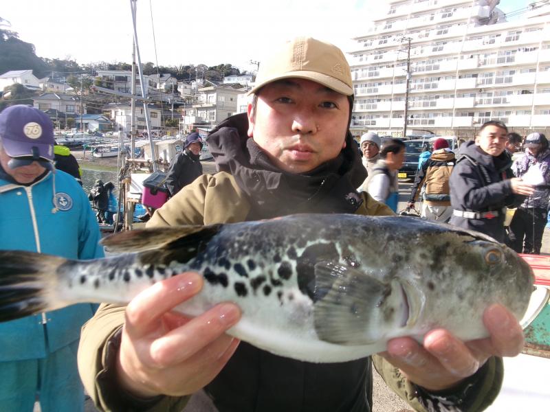トラフグ釣り1枚目