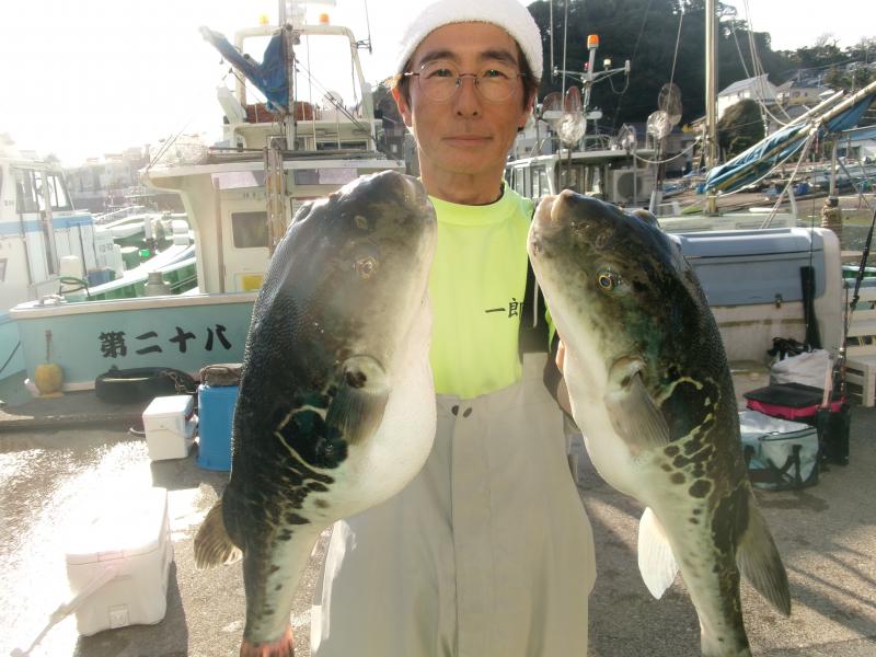 トラフグ釣り3枚目