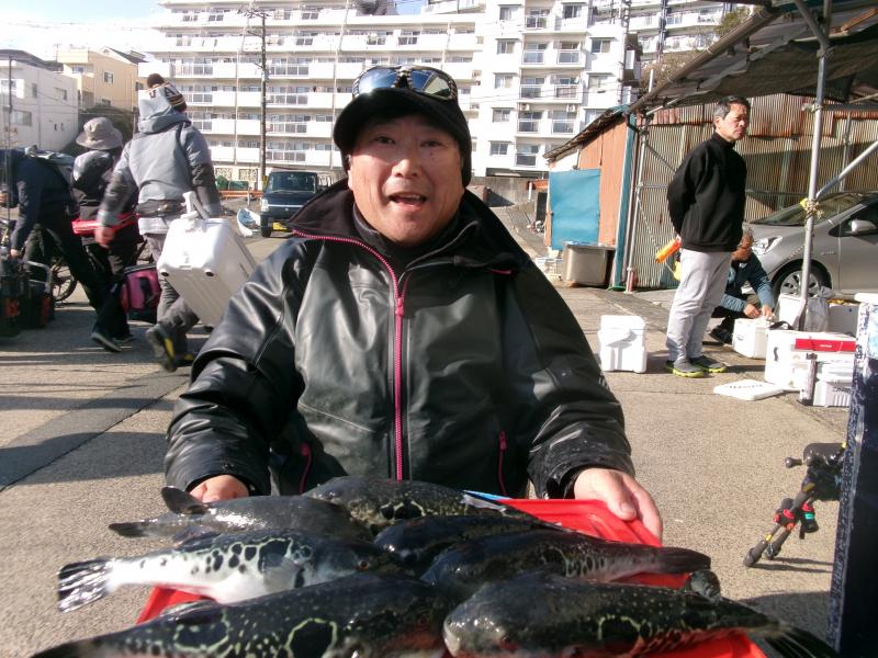 トラフグ釣り好調です！！1枚目