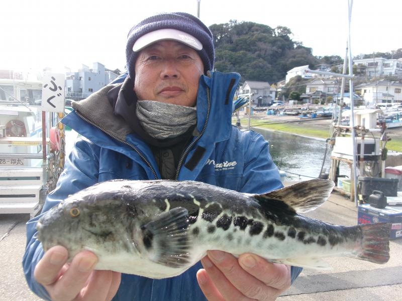 トラフグ釣り2枚目