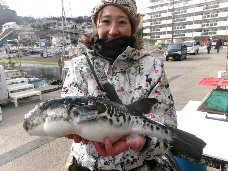 トラフグ釣り1枚目