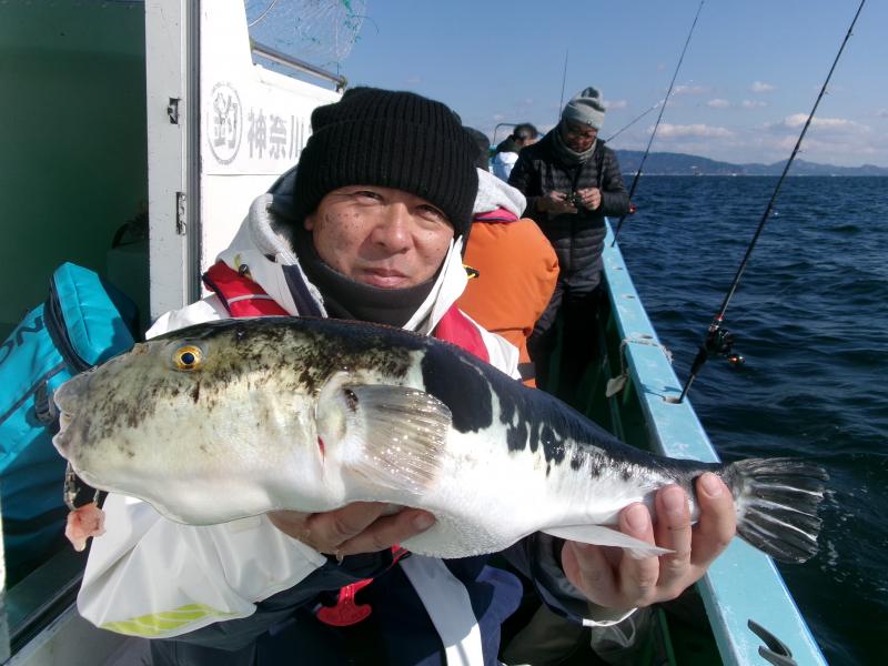 トラフグ好調です！！2枚目