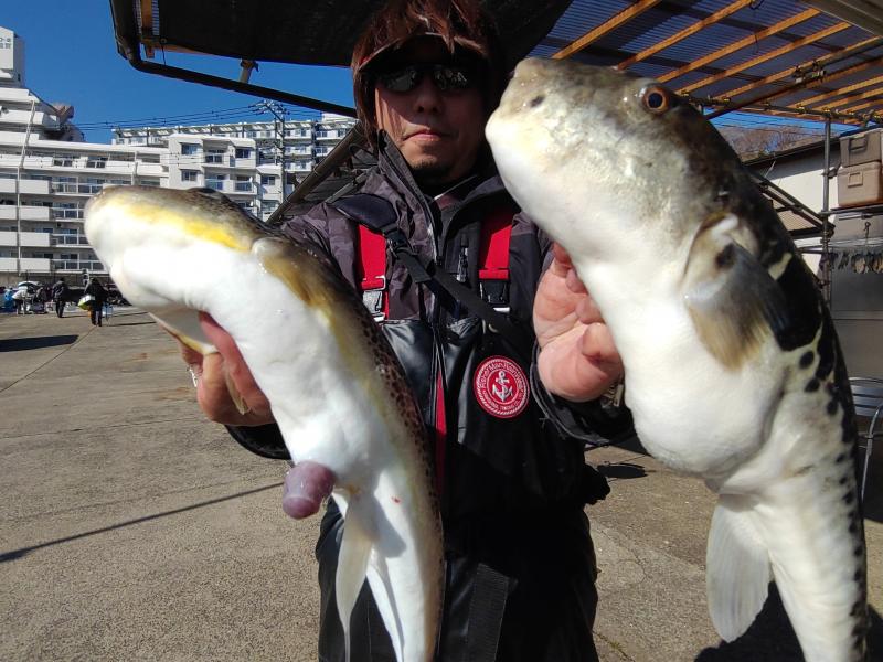 ふぐ釣り好調です！！2枚目