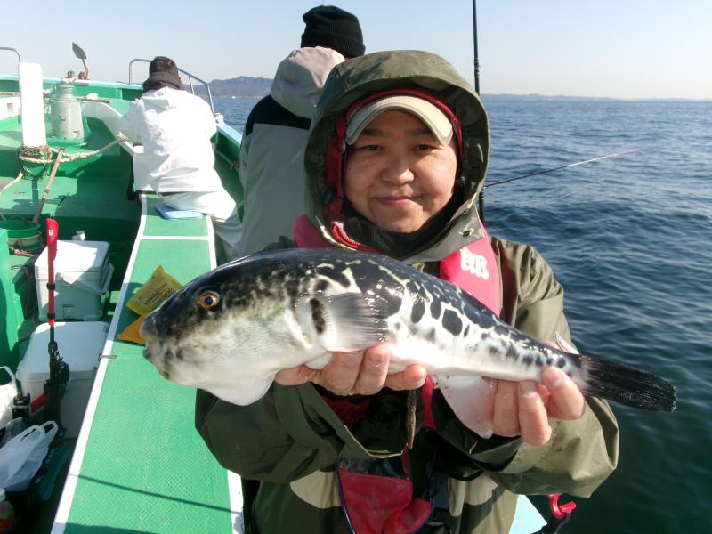 トラフグ釣り3枚目