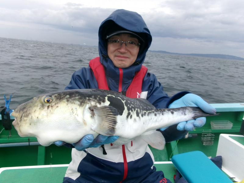 トラフグ釣り1枚目