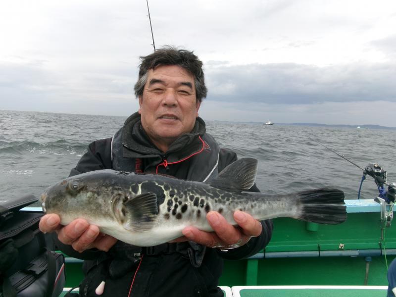 トラフグ釣り2枚目