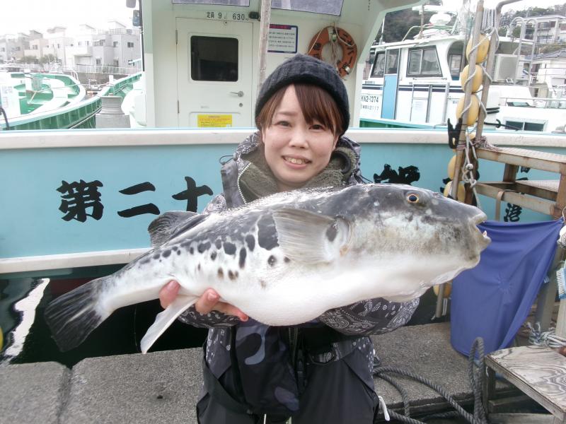 トラフグ釣り1枚目
