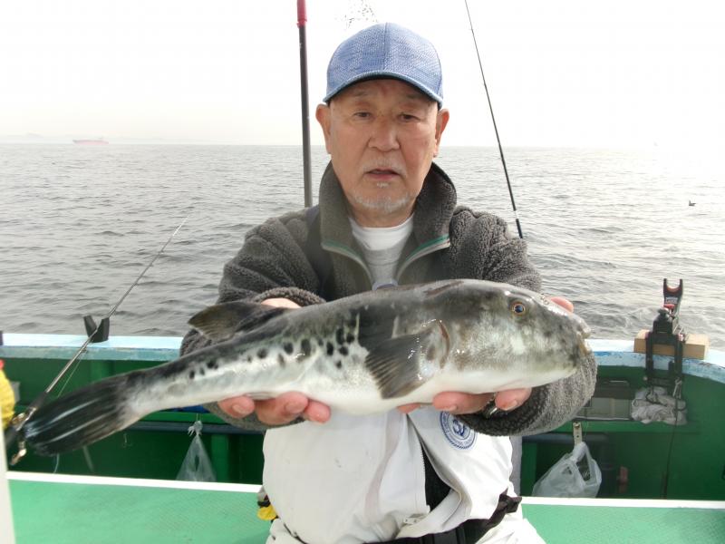トラフグ釣り3枚目