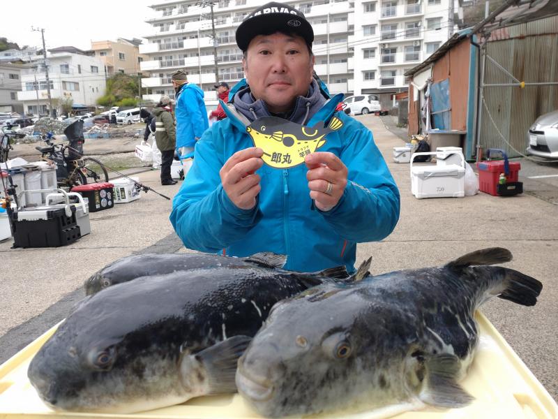 トラフグ釣り1枚目