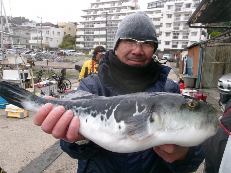 トラフグ釣り3枚目