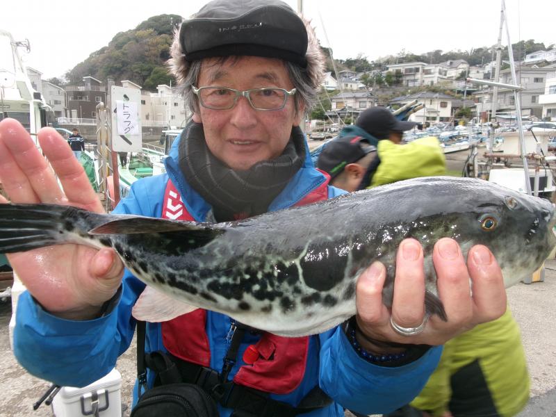 トラフグ釣り4枚目