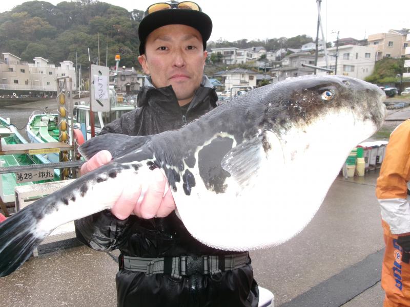 トラフグ釣り2枚目