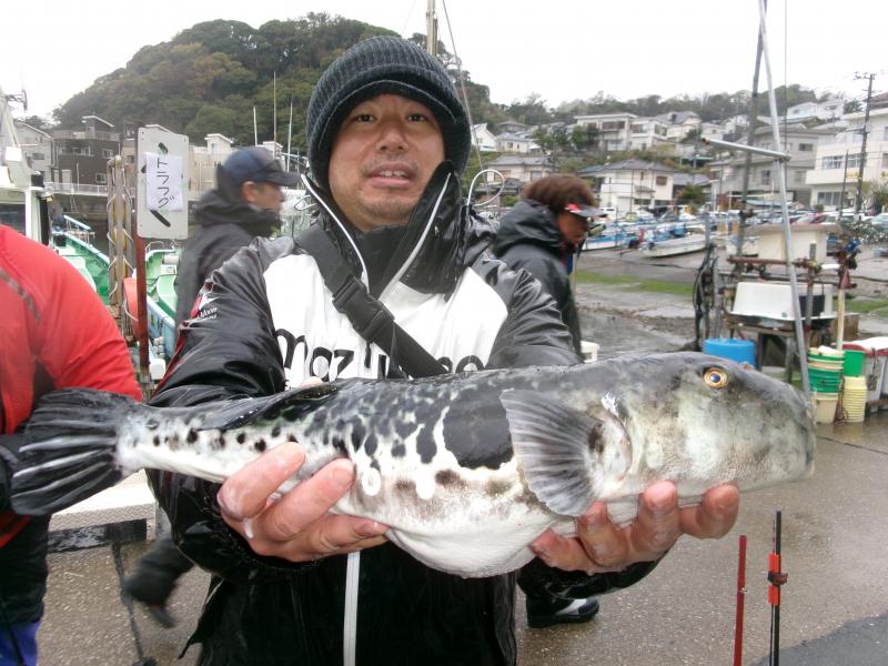 トラフグ釣り3枚目