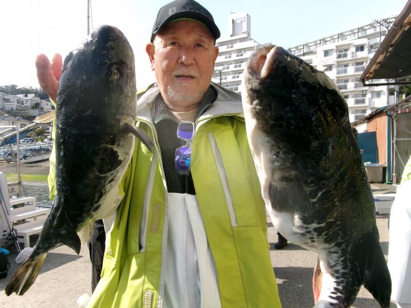 トラフグ釣り1枚目