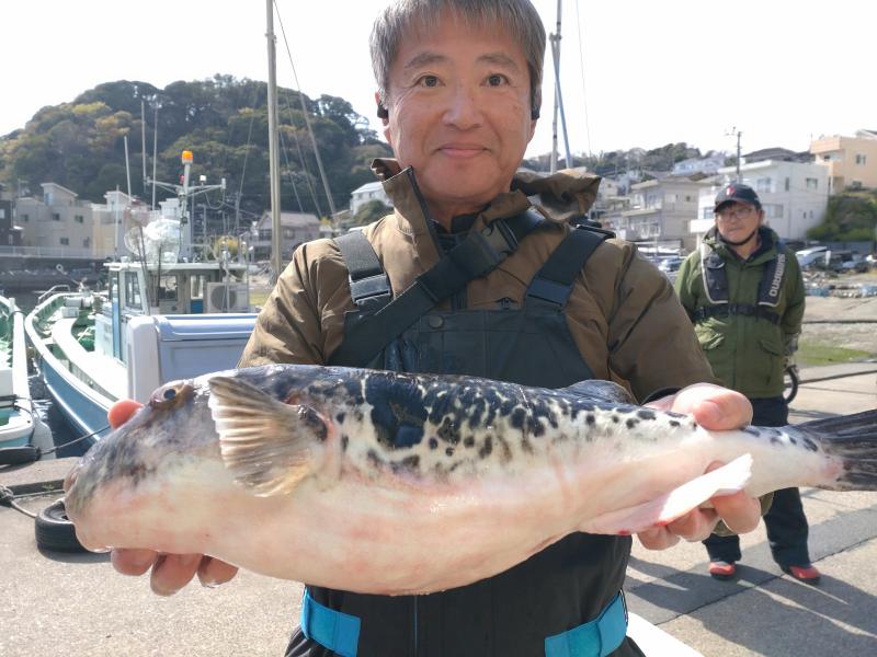 トラフグ釣り2枚目