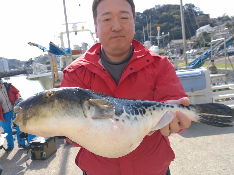 トラフグ釣り3枚目