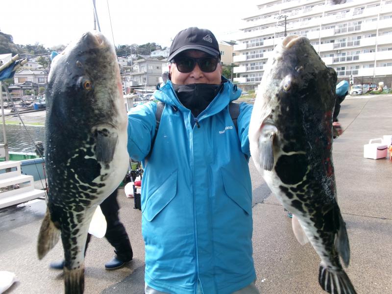 トラフグ釣り1枚目