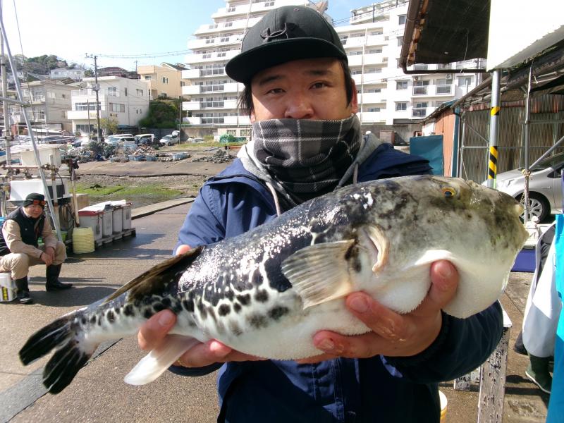 トラフグ釣り3枚目