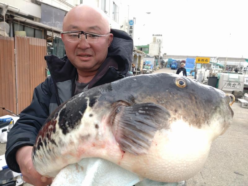 トラフグ釣り1枚目