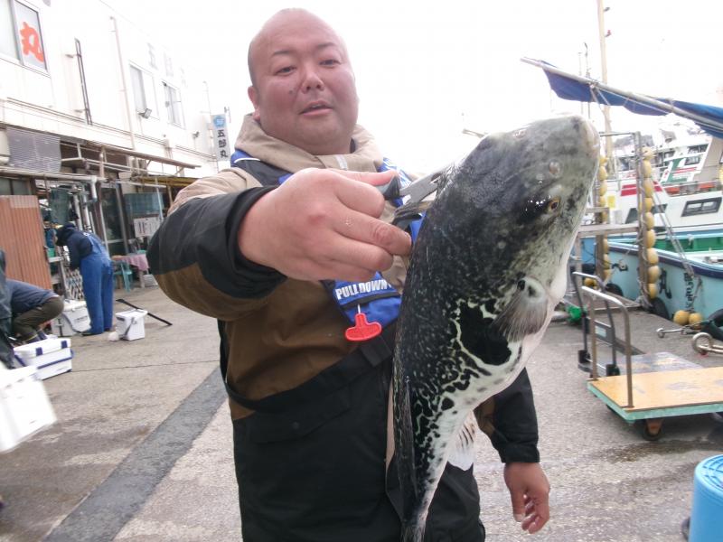 トラフグ釣り3枚目