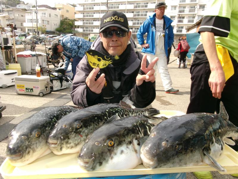 トラフグ釣り1枚目
