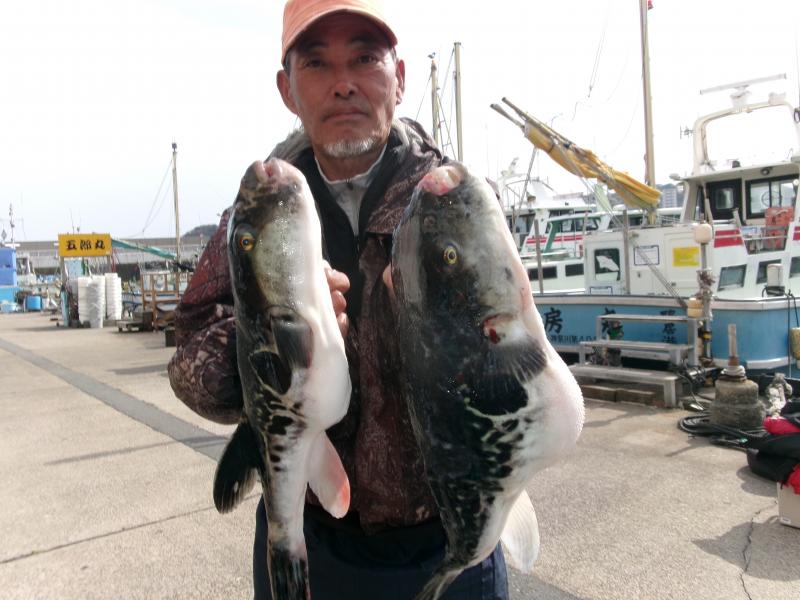 トラフグ釣り3枚目