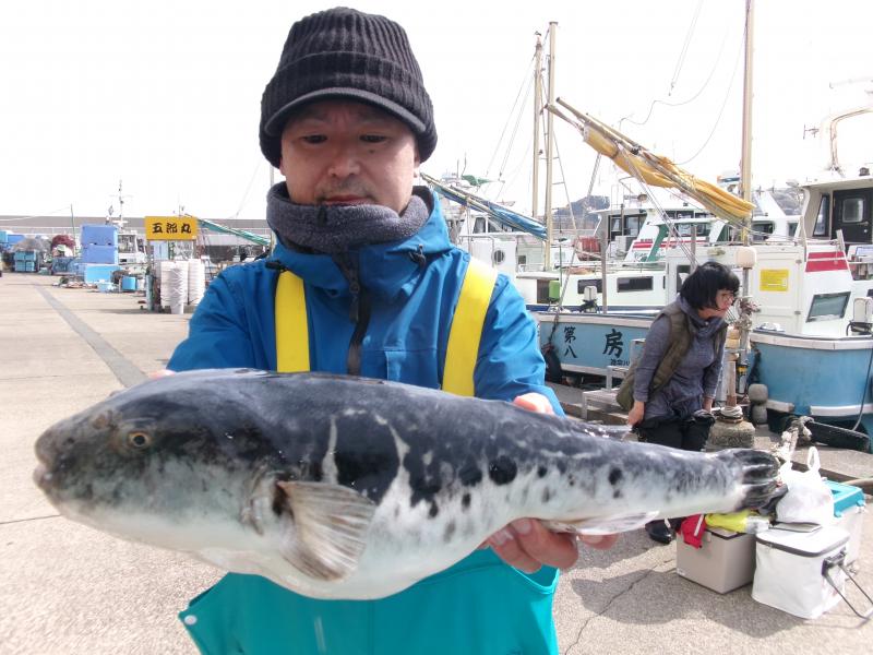 トラフグ釣り4枚目