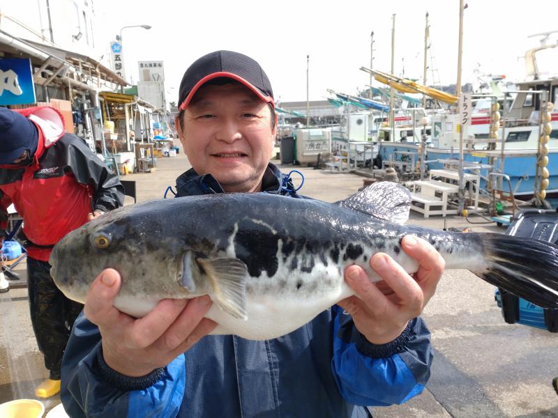 トラフグ釣り5枚目