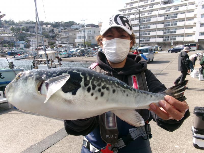 トラフグ釣り3枚目