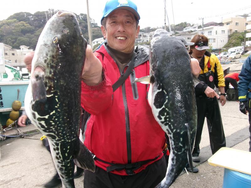 トラフグ釣り2枚目