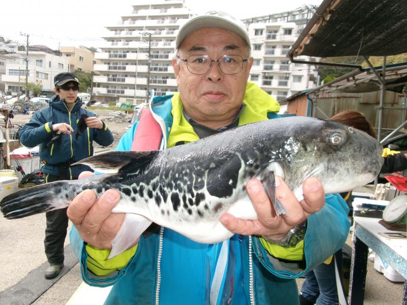 トラフグ釣り4枚目