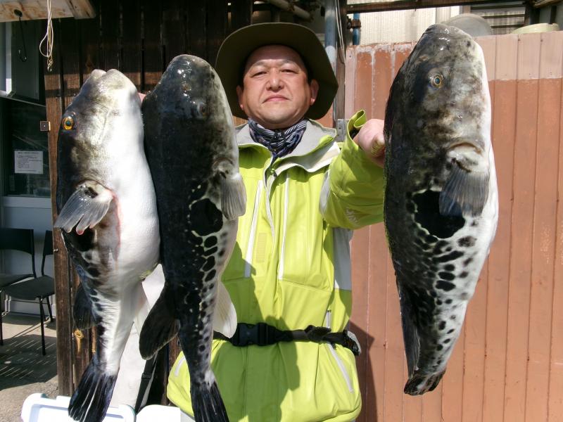 トラフグ釣り1枚目