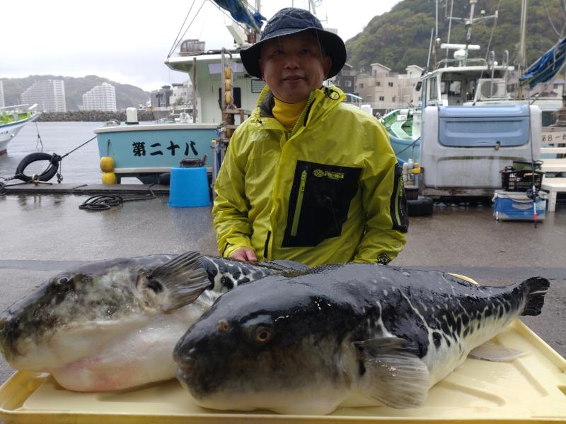 トラフグ釣り1枚目