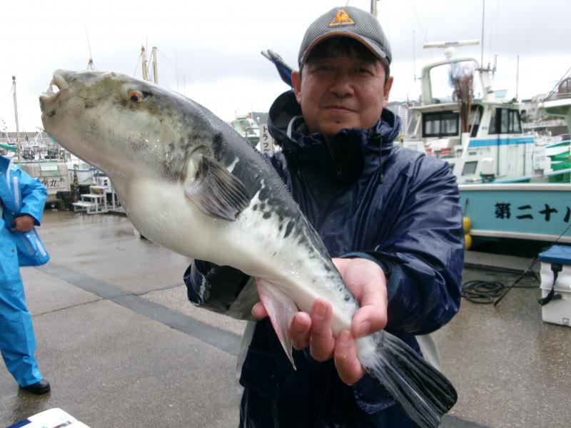 トラフグ釣り3枚目
