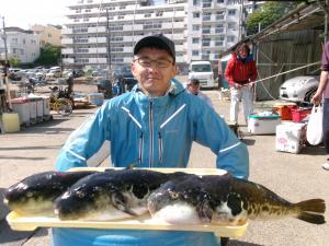 トラフグ釣り