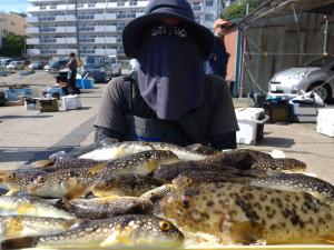 ふぐ釣り好調です！！